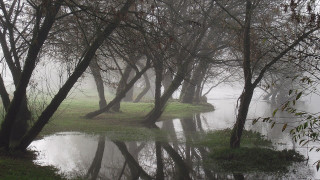 Pond foggy day bench trees - volumetric fog free wallpaper