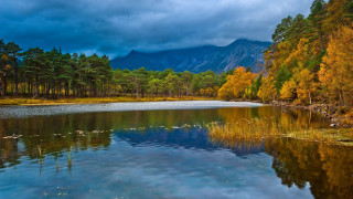 Lake trees mountains clouds birds 2 - impressionist free wallpaper