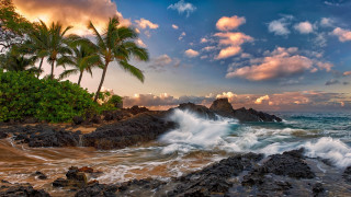 Beach waves rocks palm trees 2 - sunset free wallpaper