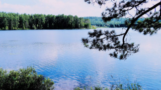 Hudson lake forest clouds bush - impressionist free wallpaper