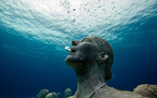 Underwater sculpture bubbles dolphin ocean - underwater free wallpaper