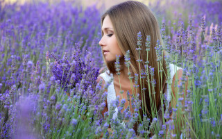 Lavender field woman looking up - her hair free wallpaper for desktop