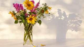 Vase flowers shadow tree wall - bracha l. ettinger free wallpaper