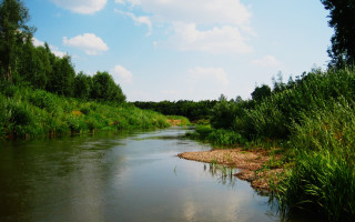 River forest blue sky nature - river free wallpaper