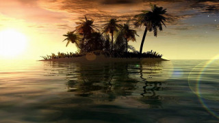 Small island palm trees ocean 21 - a small island free wallpaper