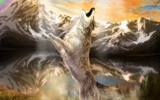 Wolf mountain lake rainbow sky - a wolf free wallpaper