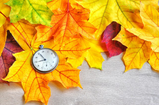 Autumn leaves clock orange fire - a clock free wallpaper