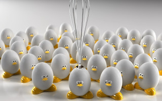 White eggs yellow beaks whisks - octane renderer free wallpaper