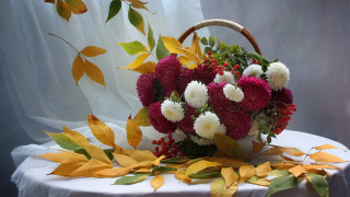 Basket flowers leaves table folk - a basket of flowers free wallpaper