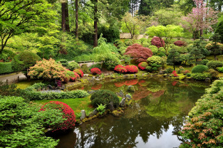 Pond trees bushes bridge house - a park area free wallpaper