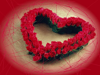 Heart roses red flower love - a heart free wallpaper