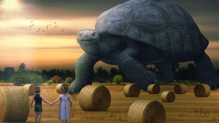 Couple holding hands giant turtle - overhead free wallpaper