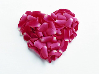 Heart shaped pink flowers white - neoromanticism free wallpaper