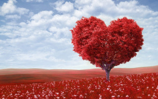 Heart shaped tree field flowers 4 - a blue sky background free wallpaper