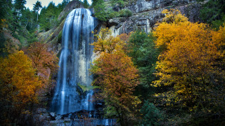 Waterfall autumn leaves forest nature - the fall season free wallpaper