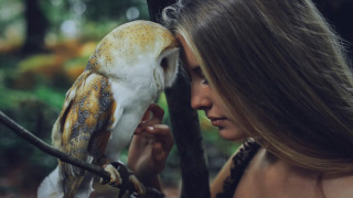 Woman bird forest puzzle photography - a branch in a forest free wallpaper