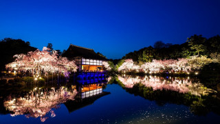 Pond building trees night lights - a pond free wallpaper