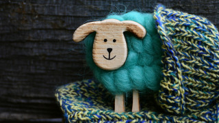 Wooden sheep blanket tiltshift evaline - blanket free wallpaper