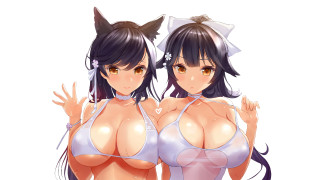 Anime girls cat ears bikinis - half body free wallpaper
