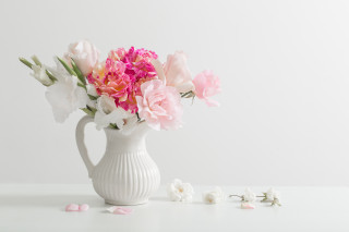 White vase pink white flowers - a white vase free wallpaper