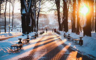Snowy path benches people trees - a snowy path free wallpaper