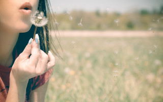 Woman blowing dandelion field magic - magical free wallpaper for desktop
