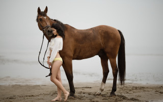 Woman bikini horse beach foggy - a horse free wallpaper for desktop