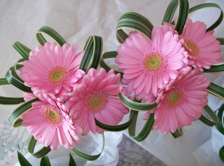 Pink flowers vase tablecloth white - op art free wallpaper