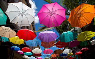 Umbrellas hanging wire city palm - palm tree free wallpaper