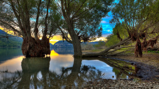 Lake mountains trees sunset reflection - a reflection of the sun free wallpaper