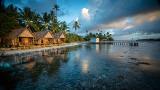 Beach huts palm trees water - a matte painting free wallpaper for desktop