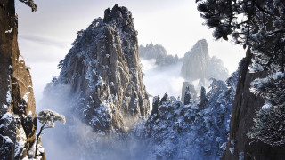 Snowy mountain forest trees rocks - naturalism free wallpaper