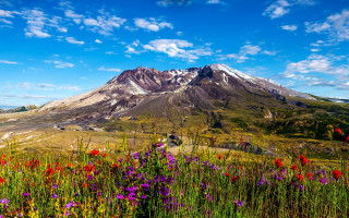 Mountain snow capped peak flower - free 3d render wallpaper