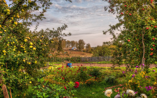 Garden flowers trees blue truck 2 - a garden free wallpaper for desktop