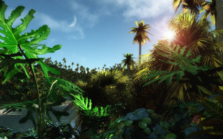 Tropical scene palm trees river - tropical free wallpaper