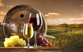 Wine barrel glass grapes stilllife - bela čikoš sesija free wallpaper
