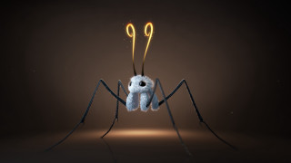 Spider yellow eyes black legs - blender free wallpaper