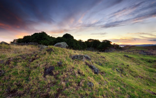 Grassy field rocks trees sunset - a grassy field free wallpaper