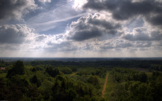 Forest cloudy sky dirt road - cloudy free wallpaper