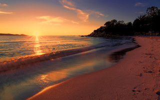 Sunset ocean beach island trees - a small island in the distance free wallpaper