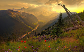 Valley mountains flowers sunset landscape - beautiful free wallpaper for desktop
