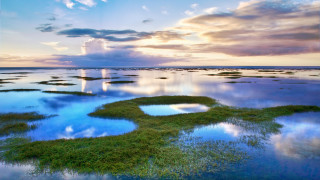 Lake horizon reflection clouds sky - a large body of water free wallpaper