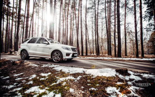 White car driving forest snow - tree and snow covered ground free wallpaper