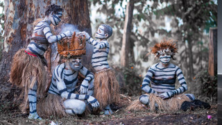 Three people striped costumes woods - in the foreground free wallpaper
