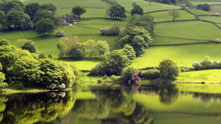 Lake green hills trees house 3 - impressionist free wallpaper