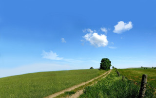 Dirt road green field tree 2 - david inshaw free wallpaper