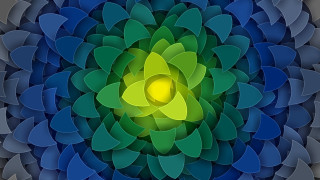 Colorful flower yellow center blue - golden ratio illustration free wallpaper