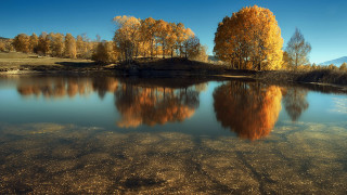 Lake trees autumn impressionist night - a lake free wallpaper