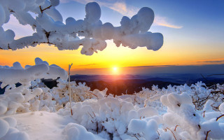 Sunset snowy mountain tree branch - a sunset over a snowy mountain free wallpaper