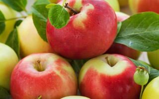 Apples leaves table fall vibrant - fall vibrancy free wallpaper